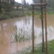 2.9.2014 Lokální přívalový déšť v Hlučíně 02.09.2014